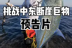 听说中东深海大断崖巨物横行，帅小伙带女友火速前往。。 #三星AI折叠手机 #三星ZFlip6#大豪夫妇视频封面