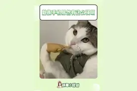 “魅族啊？！魅族不要，拿走快拿走！” #手机 #出国 #旅行 #防盗 #拍照视频封面