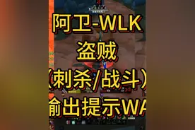 盗贼输出提示WA（刺杀/战斗/乱舞刺）