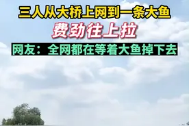 太揪心！桥上撒网捕获几十斤重大鱼，三人一起合力拉鱼。网友：这要是漏网了...#大鱼#万万没想到 #厉害了 #这操作都看傻了 #实在不敢相信这是真的 #dou视频封面
