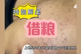 借粮 #民间故事 #生活感悟 #故事会 #解压挤痘痘 #强迫症治愈系视频封面