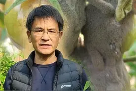 带你认识和搞定番茄灰霉病，防治方法一定要掌握好！#病害防治 #灰霉病 #来抖音学农技 #乡村守护人 #种植视频封面