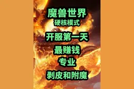 硬核模式开服第一天最赚钱的专业：剥皮和附魔 #魔兽世界 #魔兽世界怀旧服