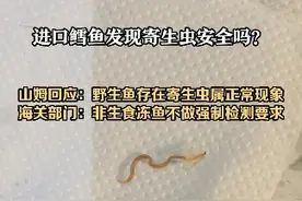 进口鳕鱼发现寄生虫安全吗？ 山姆回应：野生鱼存在寄生虫属正常