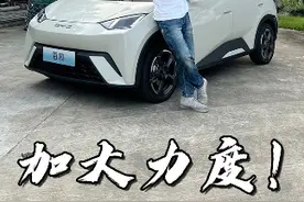 海鸥确实是有点离谱的程度在，怎么办，这次是真的心动了...#比亚迪 #海鸥  #代步车  #买菜车  #新车 #小车  #五菱宏光mini #抖音汽车 #dou是好车 #汽车人共创计划