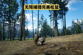 《荒野大镖客2》无限完美皮，教你轻松狩猎完美松鼠