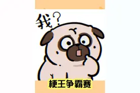 无奖竞猜：视频里都出现了哪些梗？#表情包 #吾皇巴扎黑 #热梗