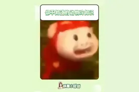 什么？我用了这么久的表情包居然是个地狱笑话？！ #冷知识 #动物 #企鹅 #青蛙  #震惊三辈子