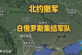 北约撤军，白鹅开始集结 #国际形势 #俄乌冲突