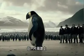 和人一样高的企鹅，你还觉得可爱吗？