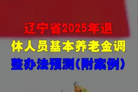 辽宁省2025年退休人员基本养老金调整办法预测(附案例)，你认同吗视频封面