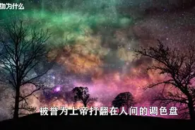 日本投降后，遗留东北的12万日本女人去哪了？结局让人出乎意料视频封面