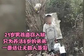 21岁男孩盗窃入狱，只为养活8岁的弟弟，一番话让无数人落泪