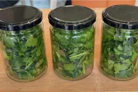 保存香菜原来这么简单放1年和新鲜的一样随吃随取太方便了