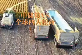 #中储粮VS全球四大粮商（一）#粮食战争