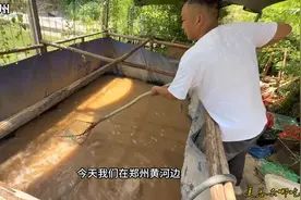 河南郑州黄河边农家院吃大鲤鱼，黄河鲤鱼30元一斤，太鲜美了视频封面