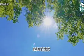 今年三伏只有30天，10年难遇，高温破纪录预警，有啥讲究？