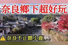【日本旅游】奈良鄉下超好玩，秘境人太多又少！4k-60帧