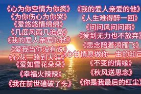 20首车载DJ情歌串烧《人生难得醉一回》《问问风问问雨》