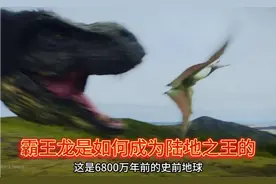 你知道霸王龙是如何成为陆地之王的吗？#恐龙 #霸王龙 #动物世界视频封面