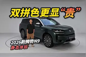 双拼车色更显“贵” 静态体验2026款腾势N9