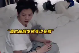 鹿晗一觉醒来发现身边有猫 这个反应太好笑了吧哈哈哈哈