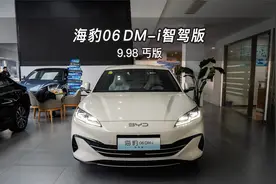 暖茶色海豹06 DM-i丐版实测！998元竟有这些隐藏配置？