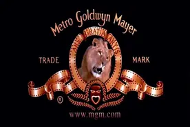 二战大行动大战役！“市场花园计划”名字有点怪，蒙哥马利大败！