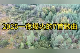 2025一夜爆火的7首歌曲，这样经典好听的音乐，老铁你也喜欢吗