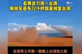 若用武力统一台湾解放军最多72小时就能收复台湾