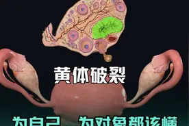 黄体破裂，为自己、为对象都该懂的暖知识 来月经前十天