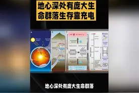 地心深处发现庞大生命群落：无需阳光，靠'充电'存活