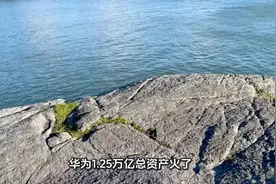 华为1.25万亿总资产火了！算完这笔账才懂：这钱没一分是“躺赚”视频封面