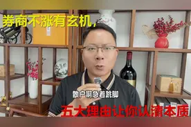 券商不涨有玄机，五大理由让你认清本质视频封面