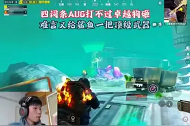 鲨鱼四个词条的AUG居然打不过普通卓越狗砸难言直接给鲨鱼更好的