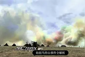 始祖鸟放烟花被全网追杀全解析