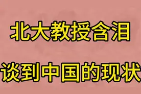 北大教授含泪谈到中国的现状视频封面