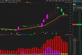 雪人股份：跌跌不休，主力是否出逃呢？看完就懂了