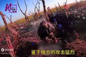 俄乌战争：俄军第一视角，这样的现场你怎么看