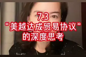 7.3  对“美越达成贸易协议”的深度思考