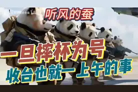 深度揭秘！听风的蚕解读台海短期转机，背后前景隐藏何种奥秘？