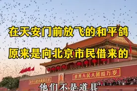 在天安门前放飞的和平鸽，原来是北京各区鸽友养的！#天安门