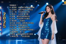 2025好听网络歌曲《凌晨路灯照着我的疲惫》《心已碎爱已醉》