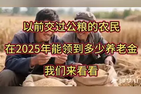 2025年养老金：农民能领多少？视频封面