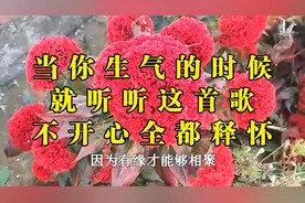 当你生气的时候，就听听这首歌，世间的一切烦恼和不开心全都释怀