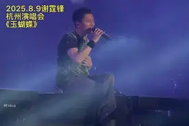 2025.8.9谢霆锋杭州演唱会《玉蝴蝶》3D眼镜全场蝴蝶飞特效，好酷视频封面