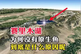 新疆赛里木湖，为何没有原生鱼，到底是什么原因呢视频封面