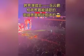 岳云鹏演唱会炸裂出圈！观众惊呼：这水平碾压专业歌手！🔥视频封面