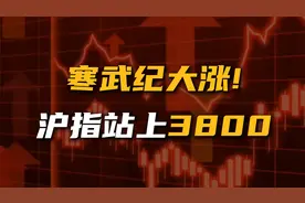 沪指站上3800点！寒武纪疯涨，市场下一步棋怎么走？还能涨多高？