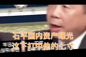 石平国内资产曝光，这下打中他的七寸。万能的网友太厉害太给力了